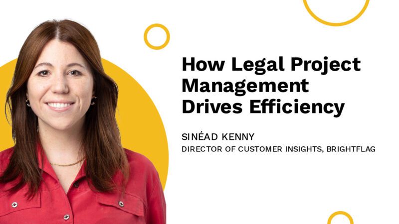 Brightflag's Director of Customer Insights, Sinead Kenny, smiling in a red button-up shirt, on a white and yellow background, with the blog title 