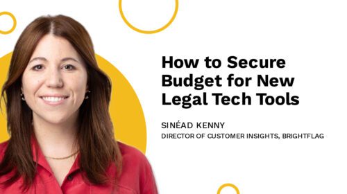 Director of Customer Insights at Brightflag, Sinead Kenny, smiling in a red dress shirt in front of a white and yellow background, with the blog title 